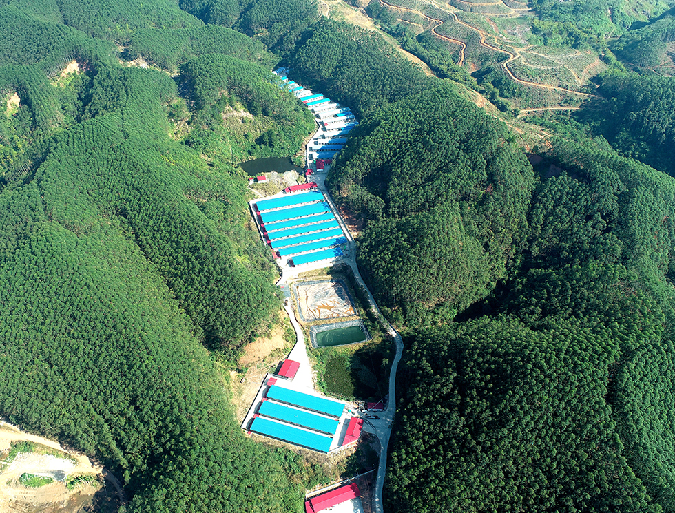 pic1.jpg